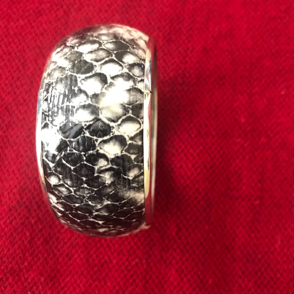 Beautiful Snakeskin Bracelet